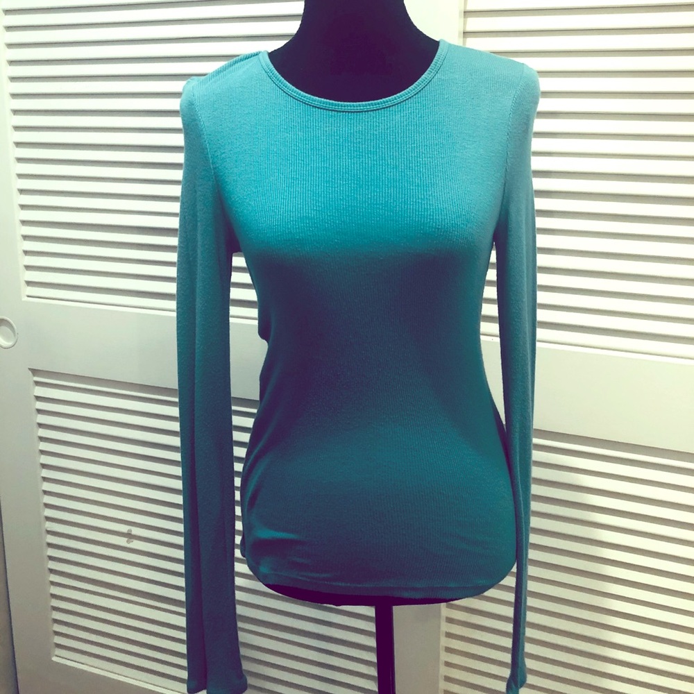 Prince and Fox Teal Long Sleeve Top